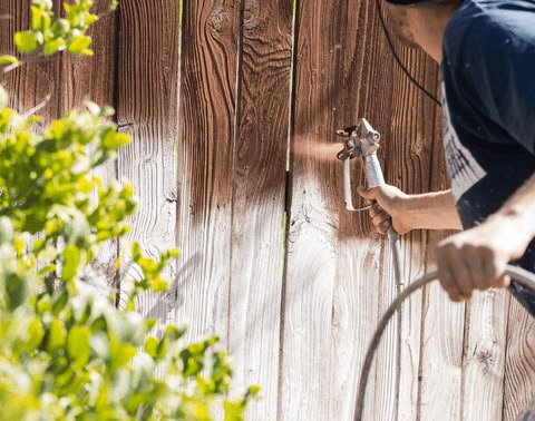 Deck & Fence Painting
